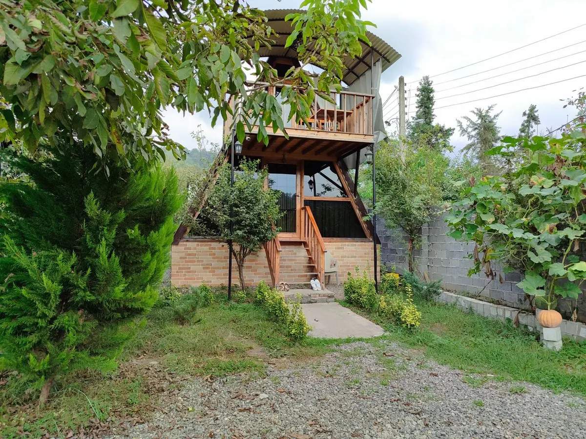 کلبه یک خوابه جنگلی سوئیسی دامون 1