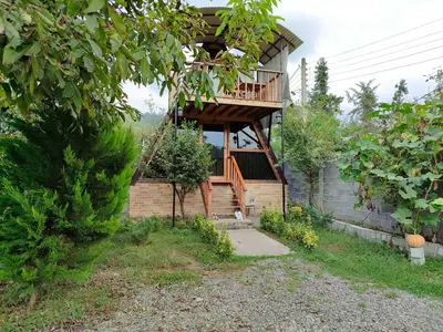 کلبه یک خوابه جنگلی سوئیسی دامون 1