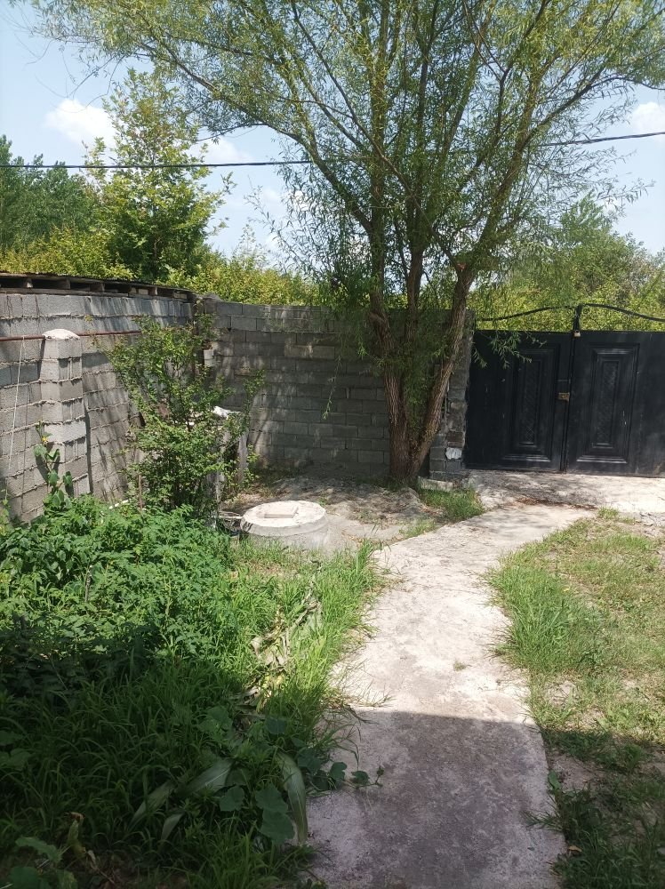 ویلا یک خوابه رز1