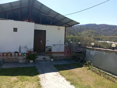 سوئیت یک خوابه جنگلی مته کلا