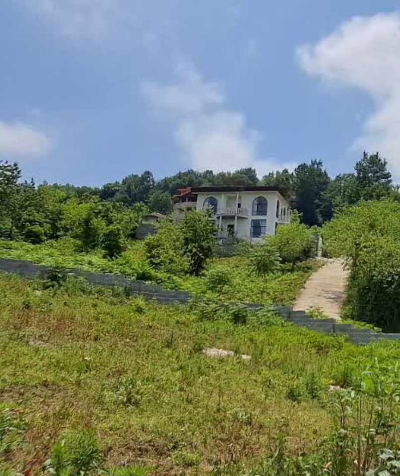 ویلا سه خوابه جنگلی ناترینا