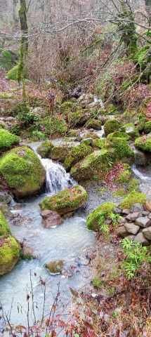 ویلا سه خوابه جنگلی ناترینا