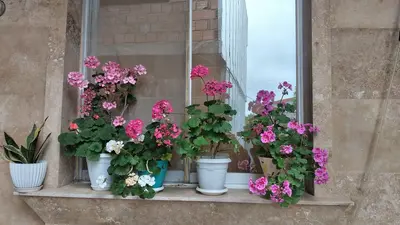 سوئیت یک خوابه خانه تو