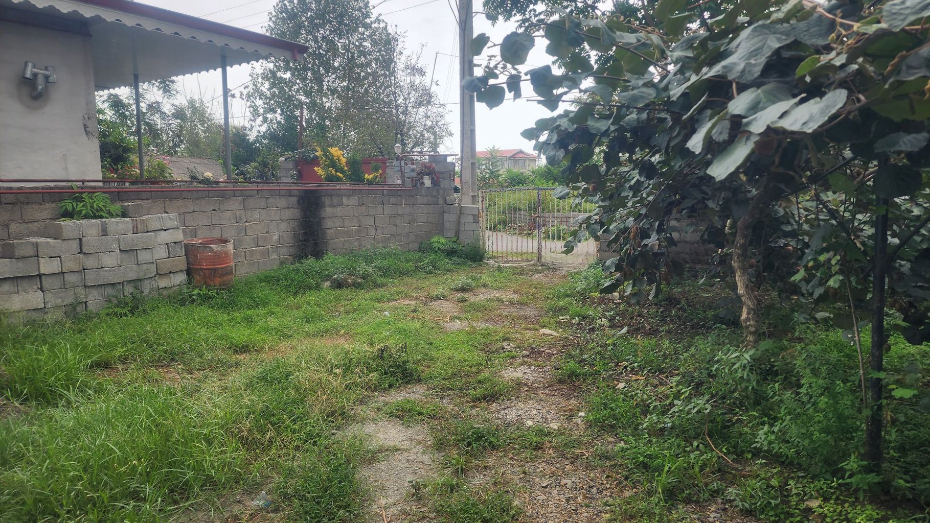 ویلا دوخوابه جنگلی محبت