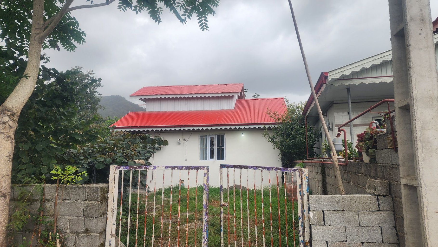 دوخوابه جنگلی محبت