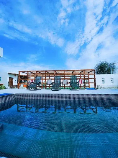 سوئیت بلک کاکتوس - واحد 1