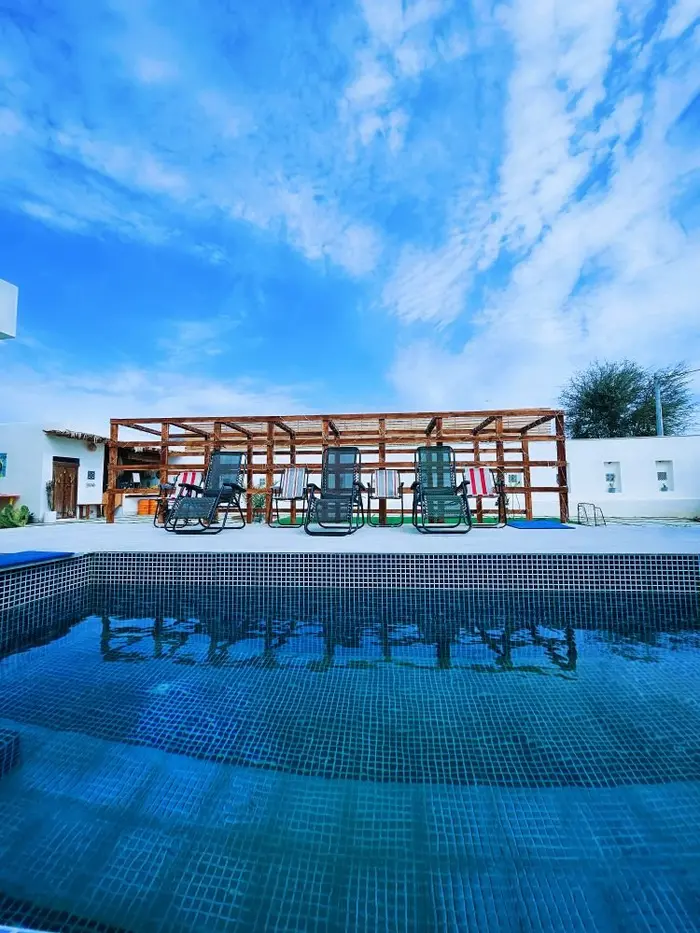 سوئیت بلک کاکتوس - واحد 1