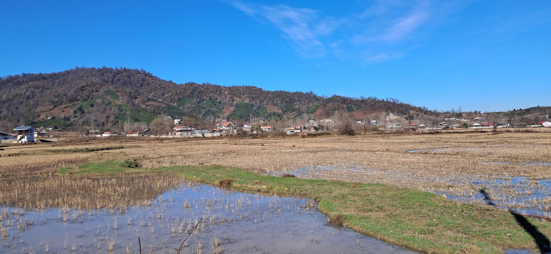 ویلا یک خوابه هانی 1