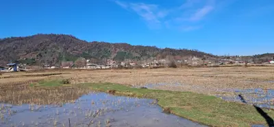 ویلا یک خوابه هانی 1