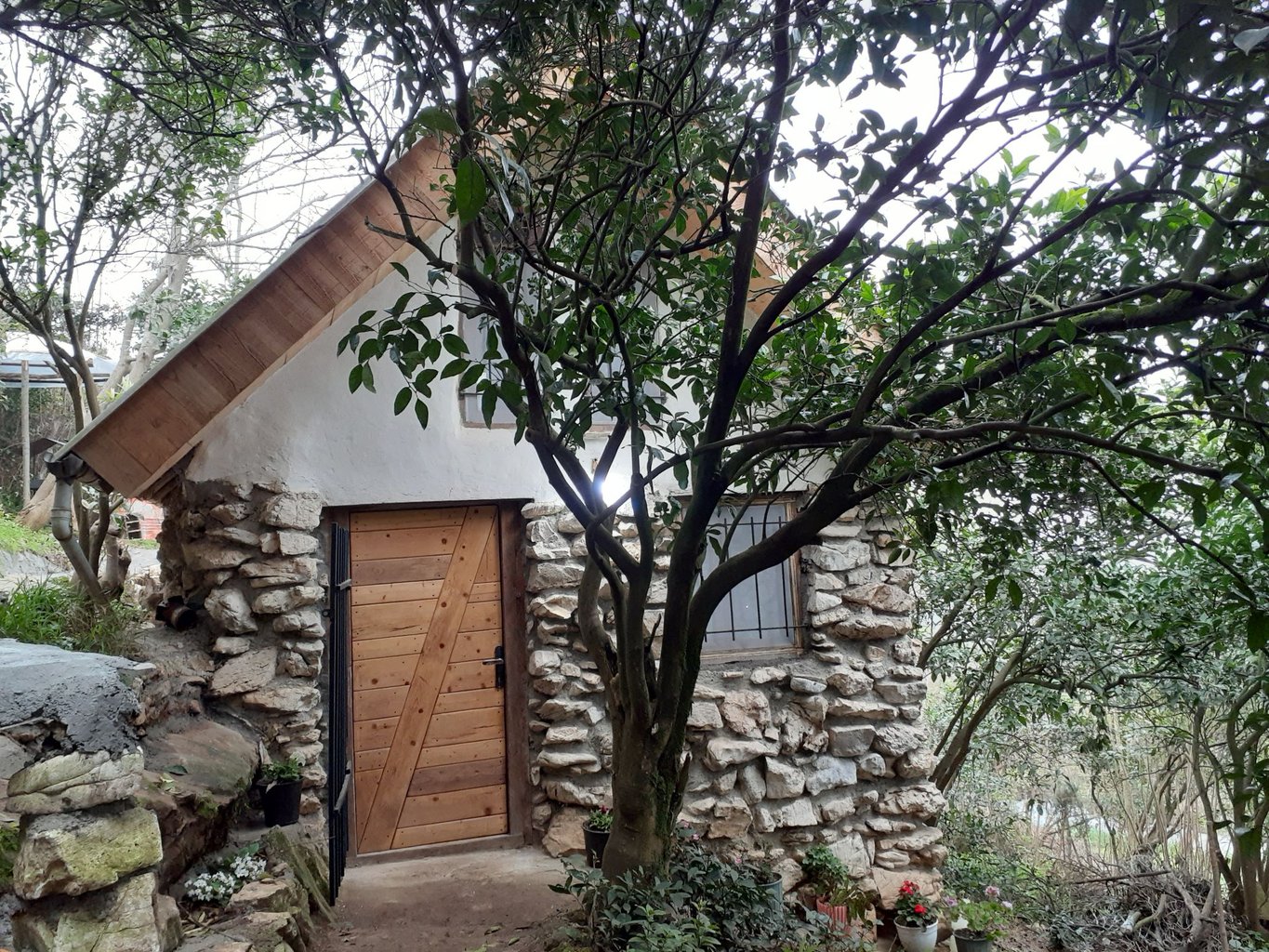 کلبه یک خوابه جنگلی حلما