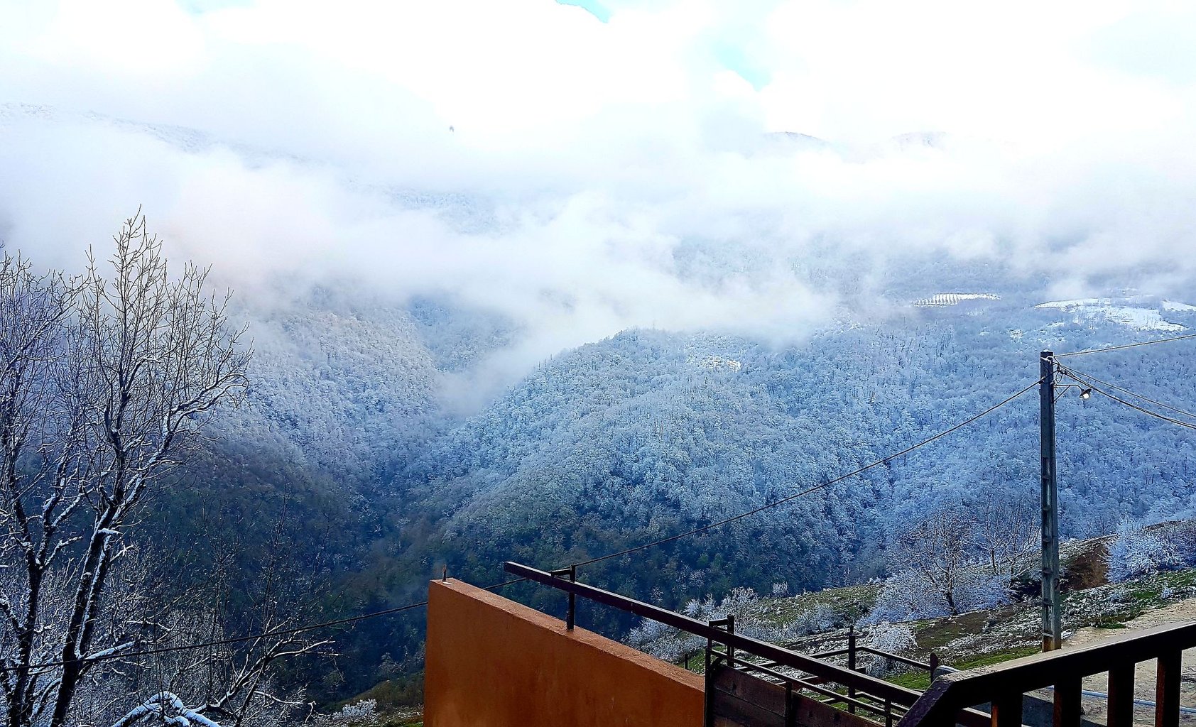 یک خوابه نازگل