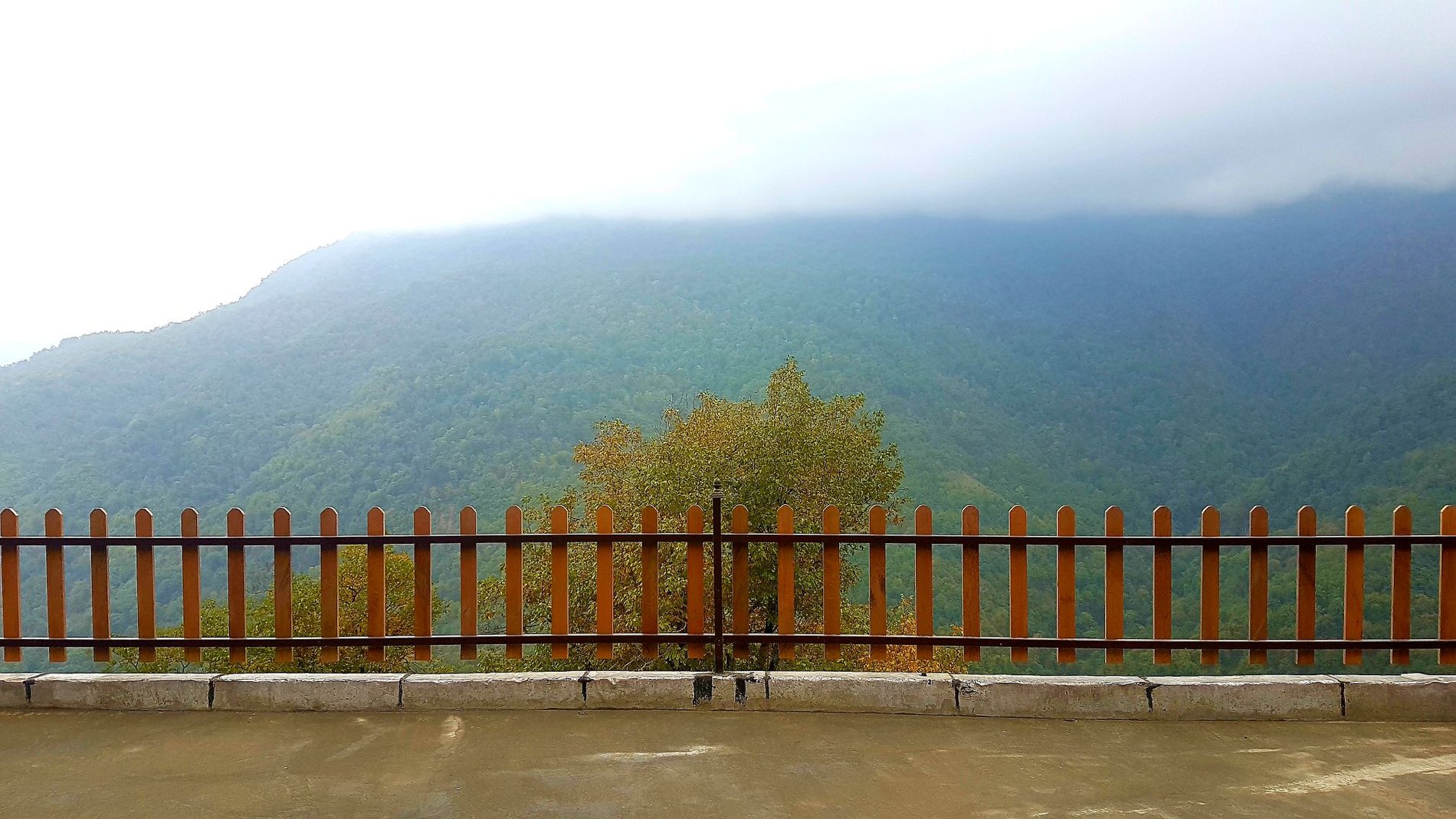 نیسا - کلبه نگار