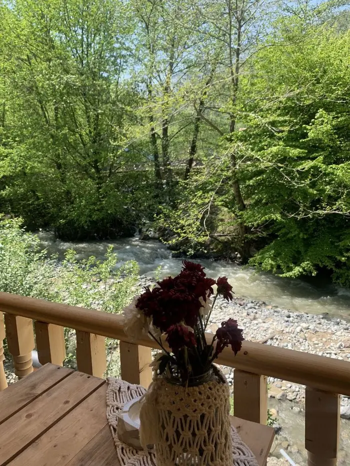 کلبه یک خوابه جنگلی دوبلکس اُم - ویو از تراس