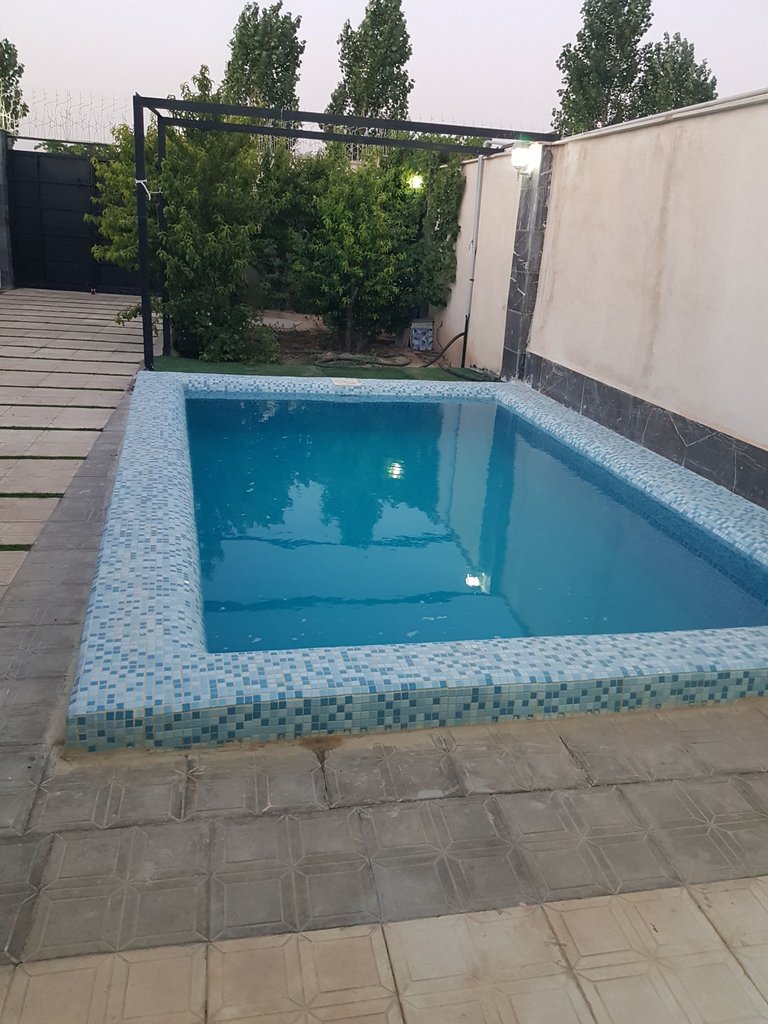 ویلا دوخوابه استخردار باغ انگوری - استخر 