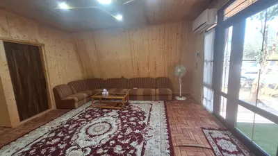 کلبه یک خوابه چوبی سرسبز
