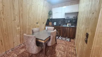 کلبه یک خوابه چوبی سرسبز