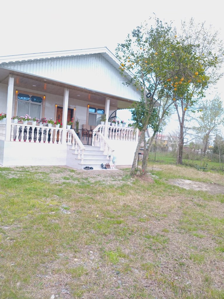 ویلا دوخوابه جنگلی سارین 1