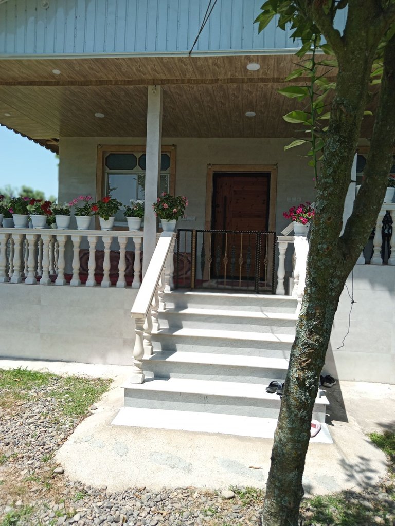 ویلا دوخوابه جنگلی سارین 1