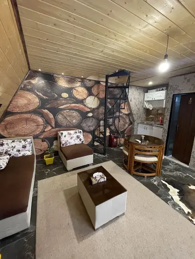 کلبه دوخوابه سوییسی سبز