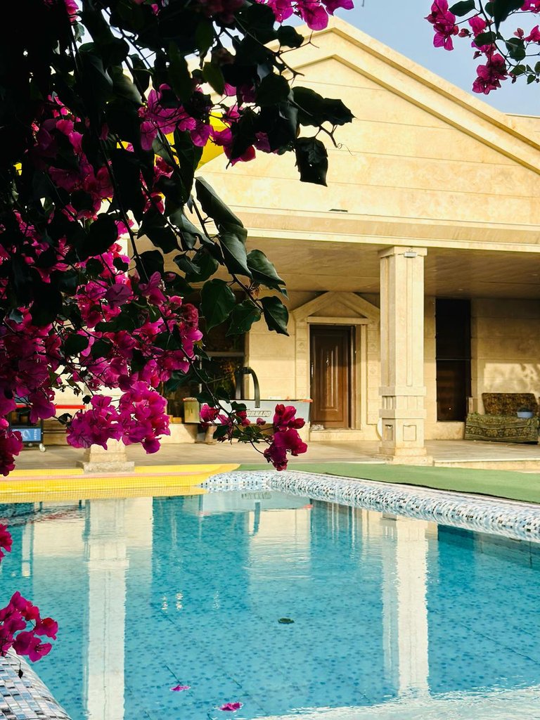 ویلا سه خوابه استخردار آبگرم سناتور