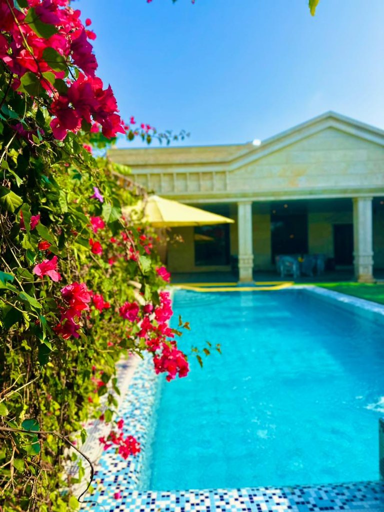 ویلا سه خوابه استخردار آبگرم سناتور