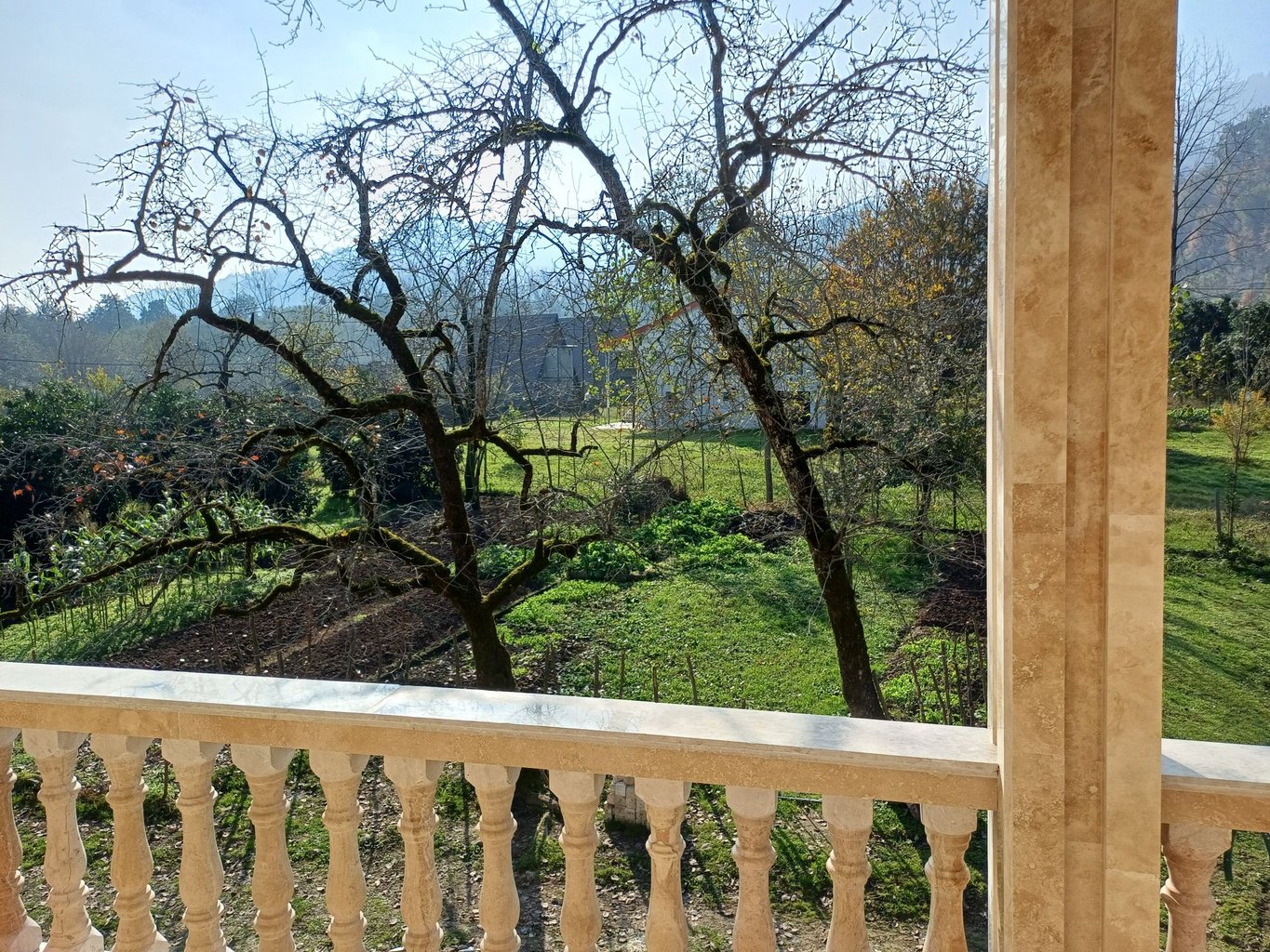 ویلا یک خوابه جنگلی کلاب