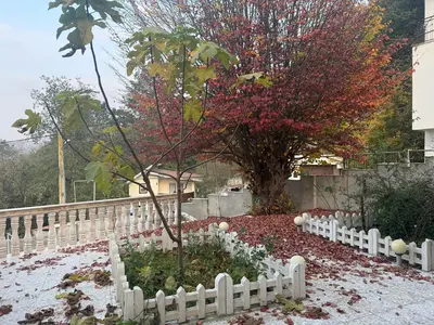 ویلا سه خوابه جنگلی دوبلکس شیوا