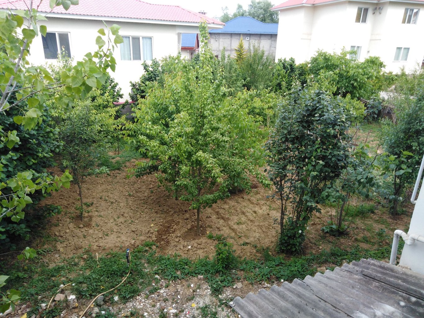 ویلا یک خوابه ویسی واحد شرقی