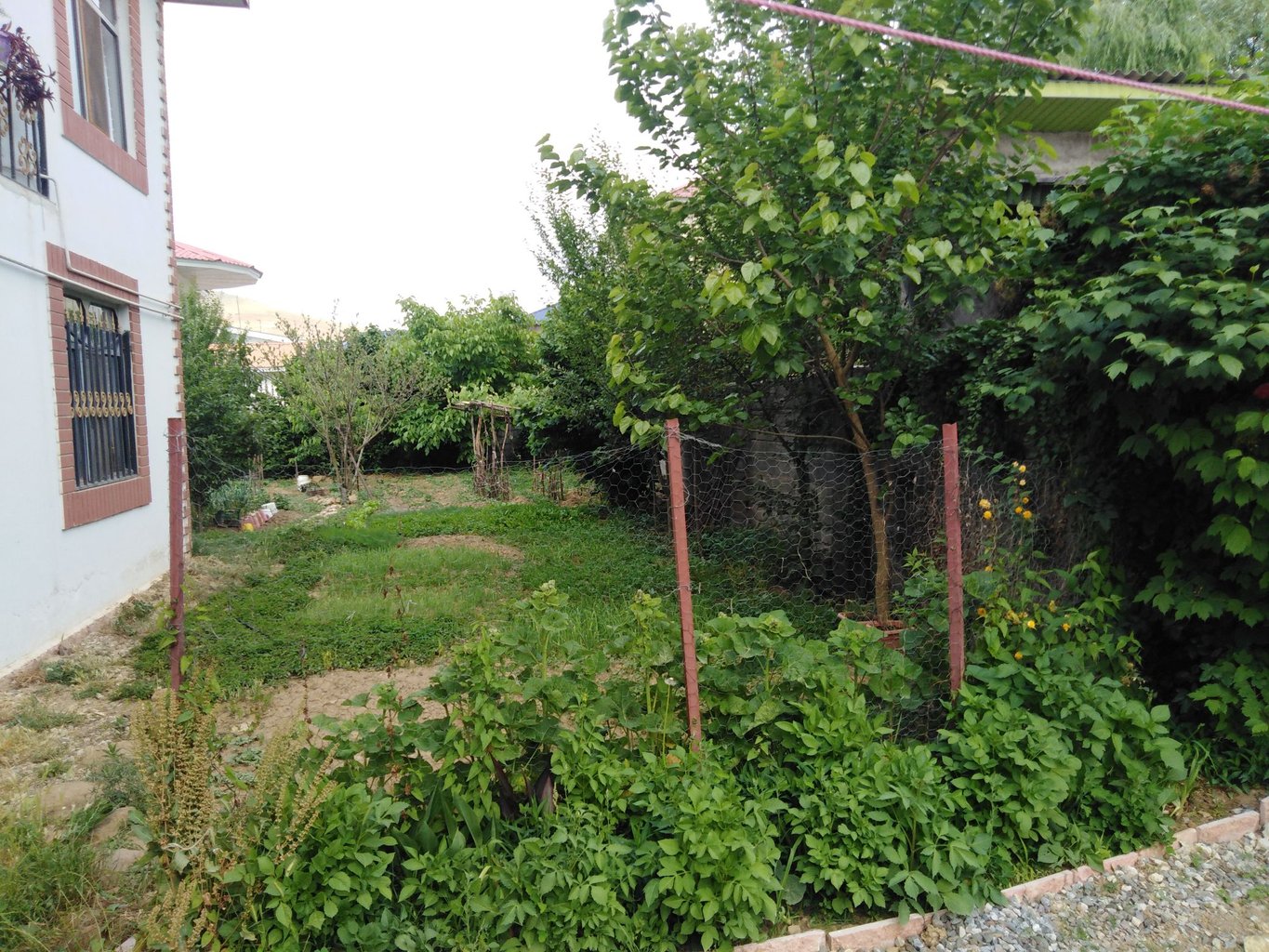 ویلا یک خوابه ویسی واحد شرقی - باغچه سبزیجات  ویلا 