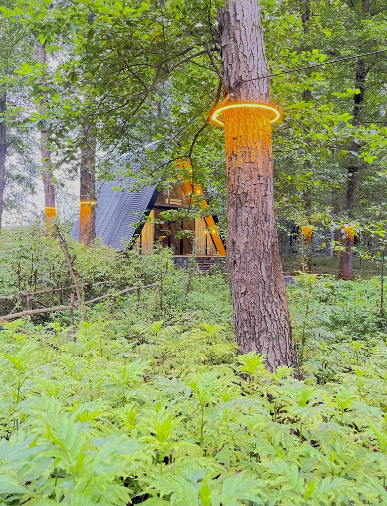 دوخوابه سوئیسی زینه