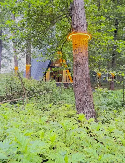 کلبه دوخوابه سوئیسی زینه