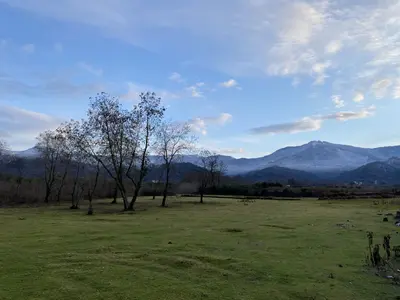 اقامتگاه سنتی گل نارنج - واحد 1