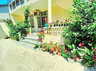 آپارتمان دوخوابه شمعدونی 2