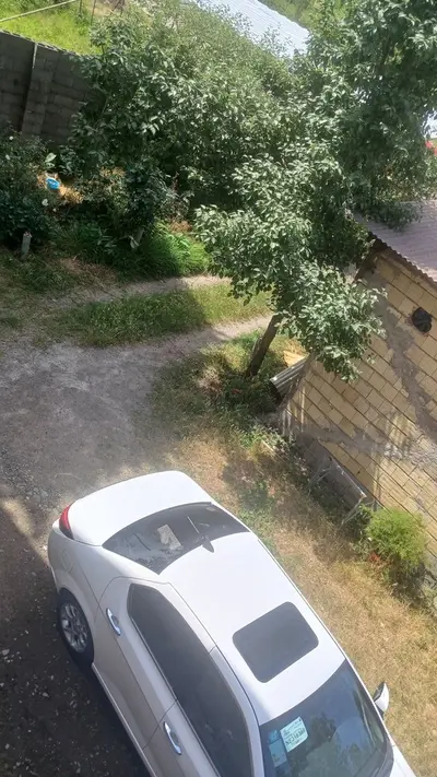 سوئیت فلت آذرنیا