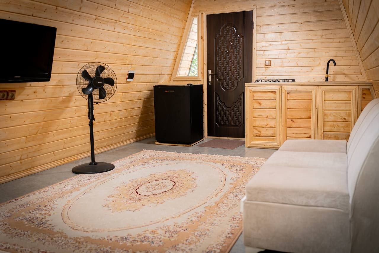 کلبه یک خوابه سوئیسی برن رو ۲ - پذیرایی 