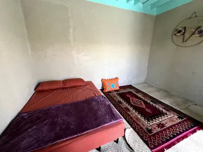 بومگردی جهله - واحد گراشی