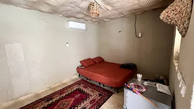 بومگردی جهله - واحد گراشی