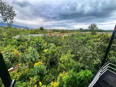 ویلا یک خوابه روستایی شمشاد 50