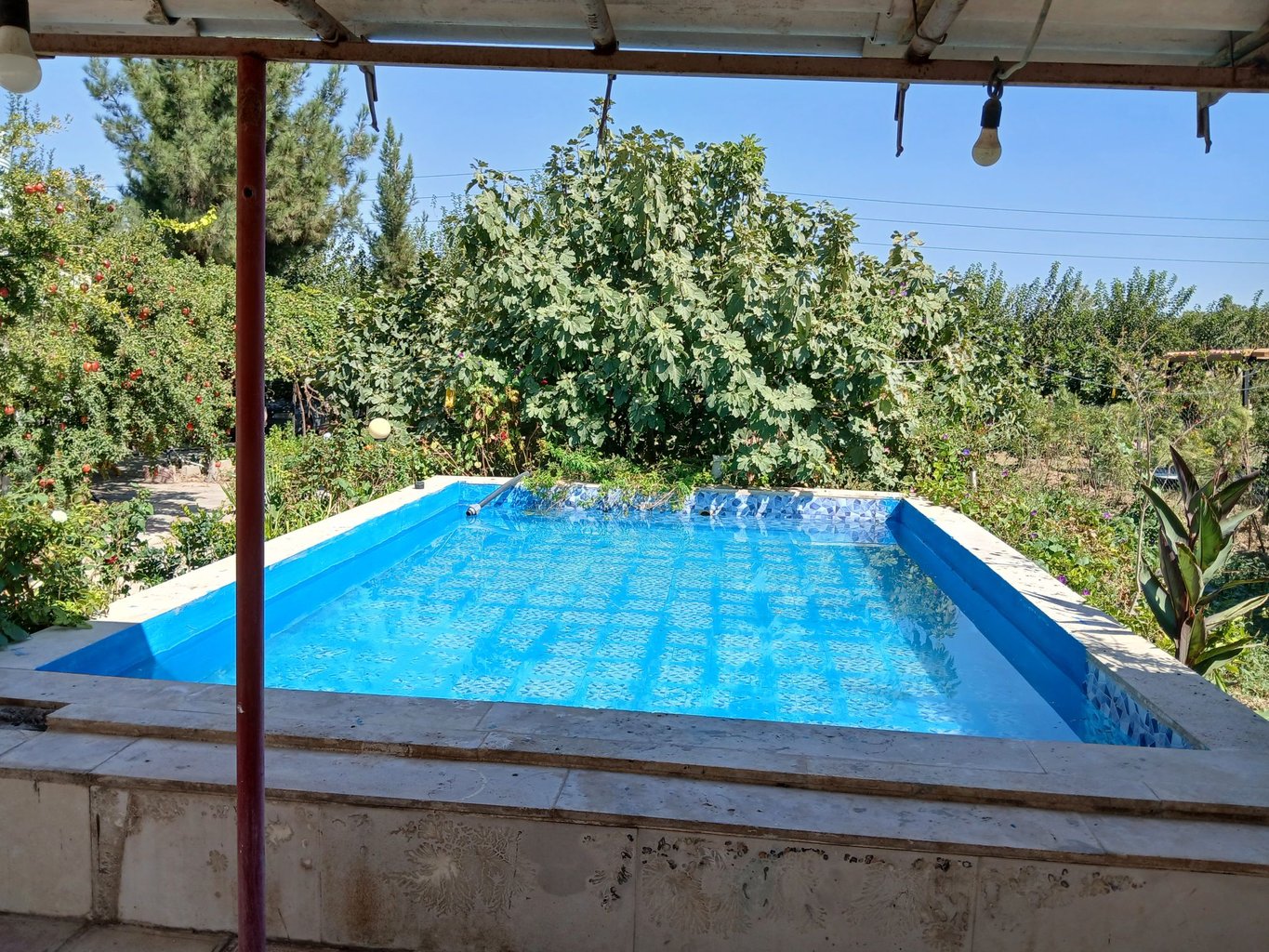 ویلا یک خوابه ارغوان 8