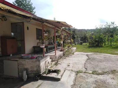 سوئیت فلت سقالکسار