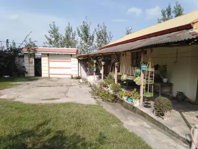 سوئیت فلت سقالکسار