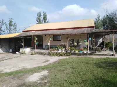 سوئیت فلت سقالکسار