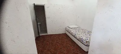 بومگردی هوفر - واحد گندم