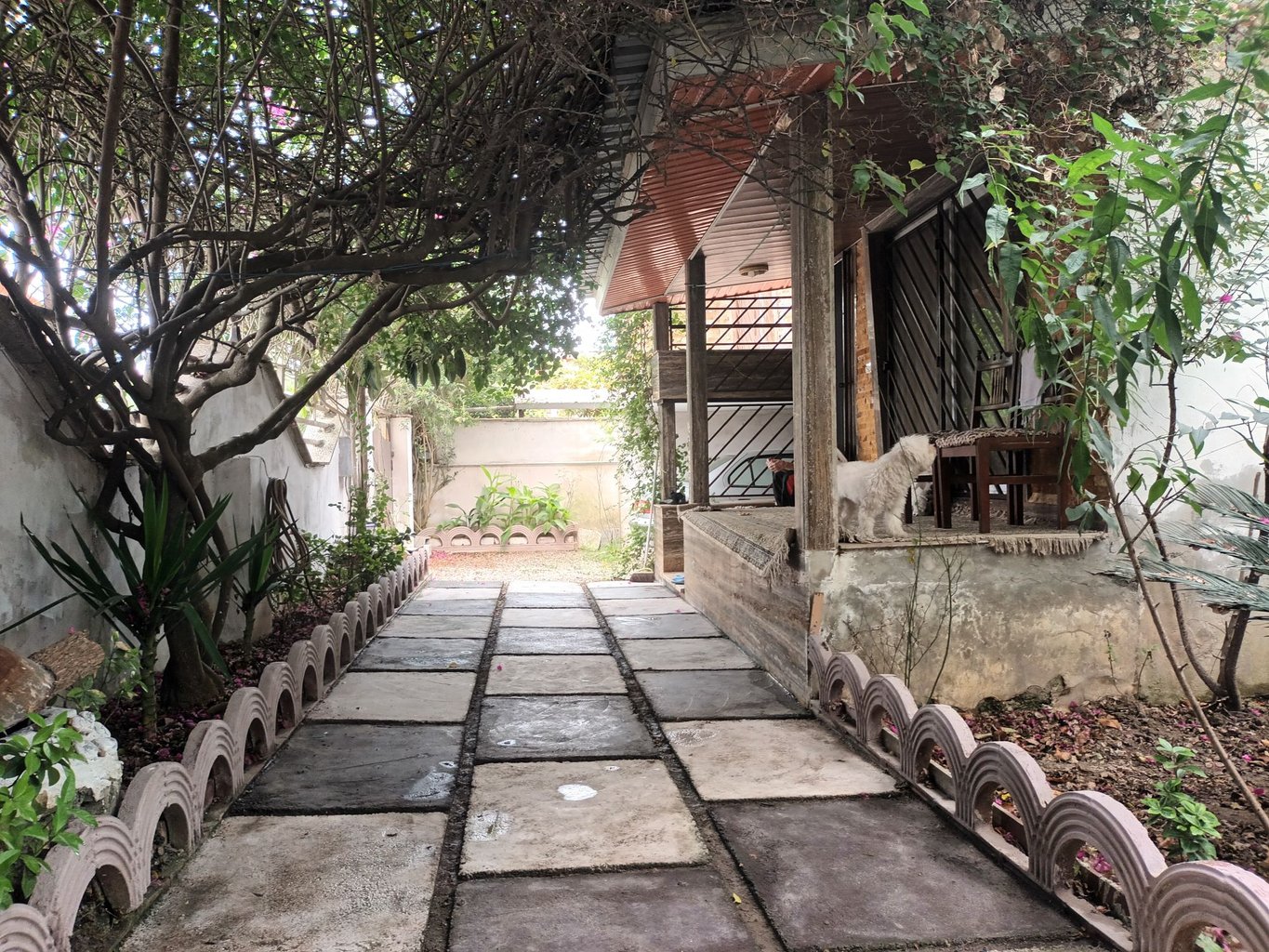 دوخوابه باغی یاس ۸