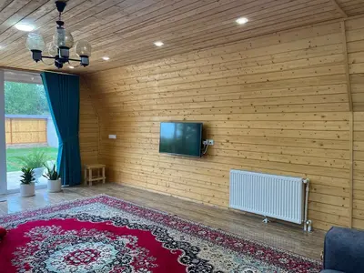 کلبه یک خوابه سوئیسی جهاندیده