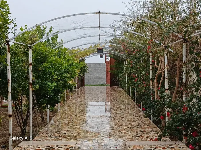 ویلا دوخوابه استخردار کاکتوس گاردن - نمای پارکینگ 