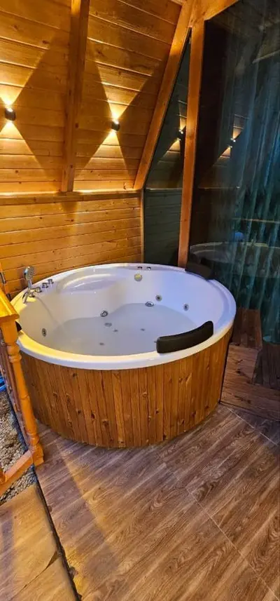 کلبه یک خوابه سوئیسی صابر