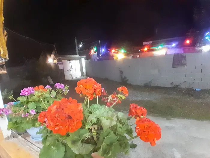 ویلا یک خوابه روستایی نوروزی لولمان