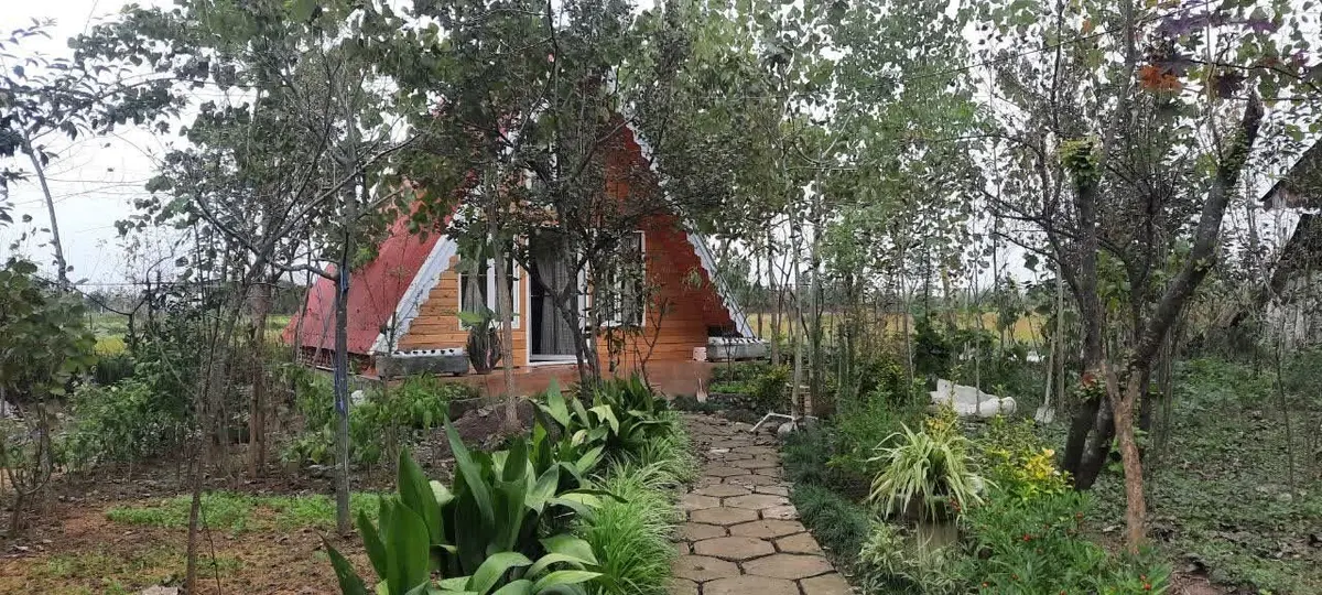 کلبه یک خوابه نیکو