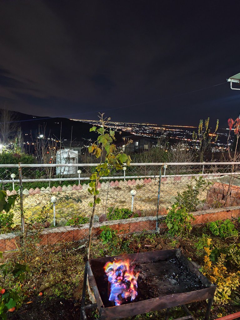 ویلا تک خوابه جنگلی استخردار دوده